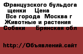 Французского бульдога щенки  › Цена ­ 35 000 - Все города, Москва г. Животные и растения » Собаки   . Брянская обл.